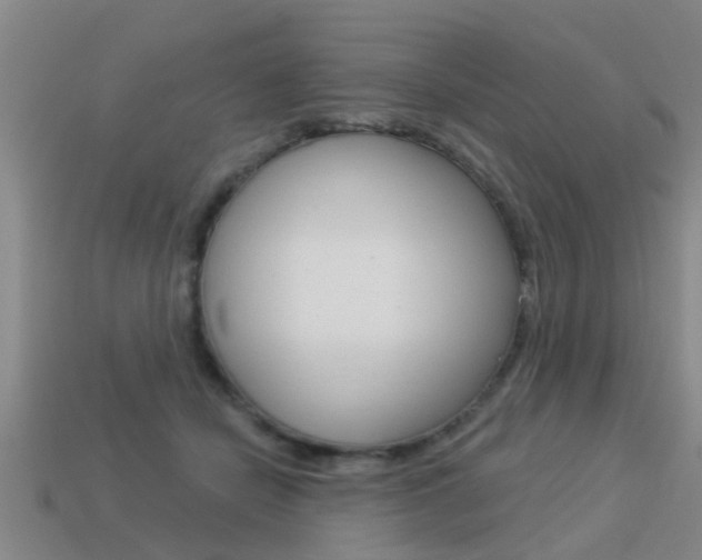 X0000113340462200909151009