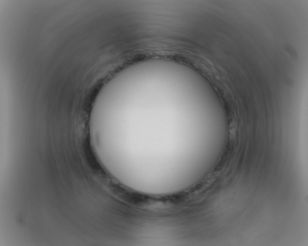 X0000113340464200909151009
