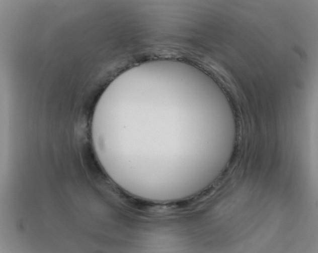X0000113340465200909151009