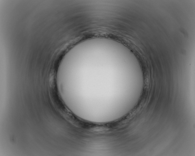 X0000113340468200909151009