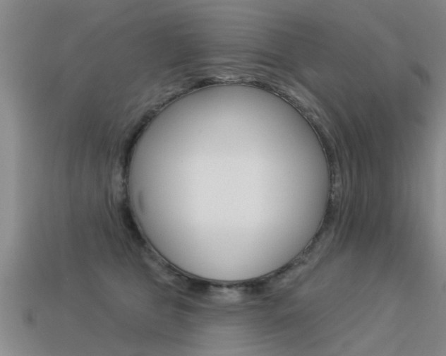 X0000113340469200909151009
