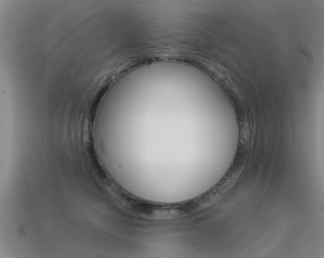 X0000113340470200909151009