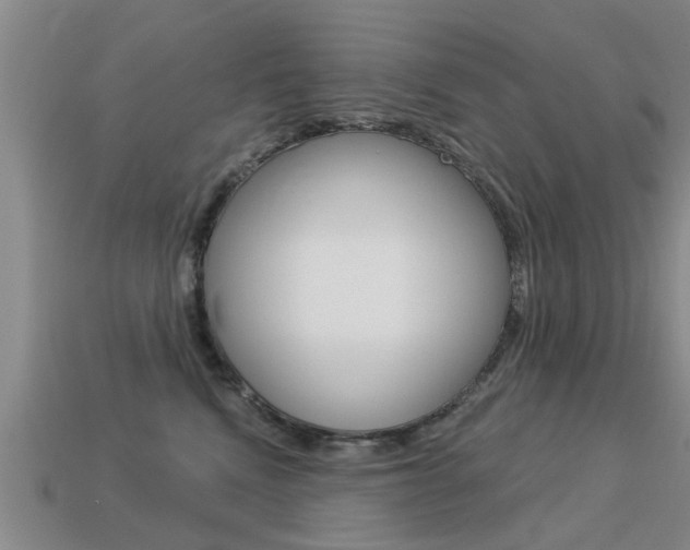 X0000113340472200909151009