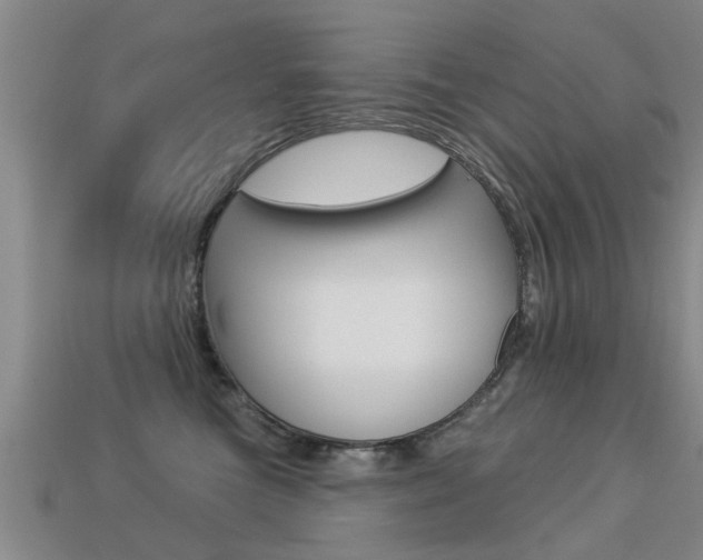 X0000113340473200909151009