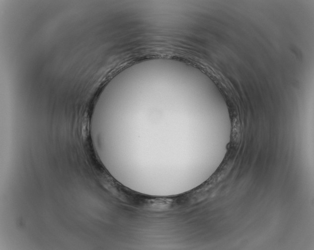 X0000113340474200909151009