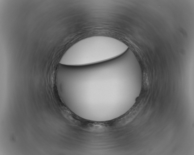 X0000113340475200909151009
