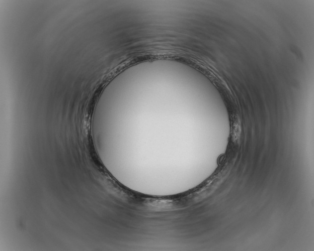 X0000113340476200909151009