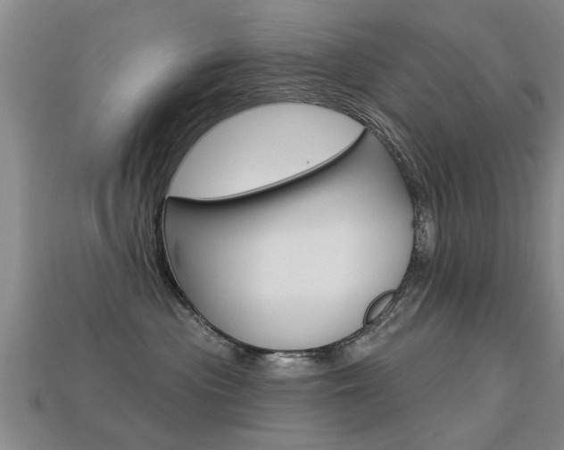 X0000113340477200909151009