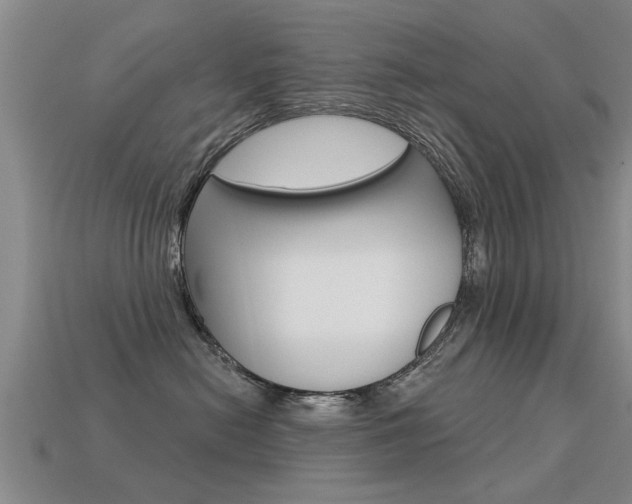 X0000113340478200909151009