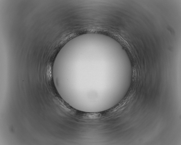 X0000113340479200909151009