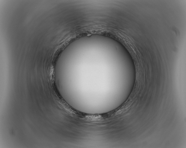 X0000113340480200909151009