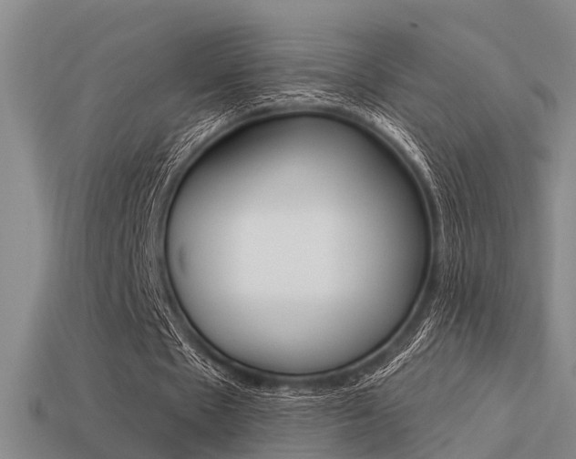 X0000113340481200909151009