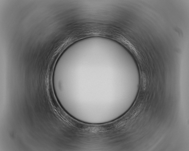 X0000113340482200909151009