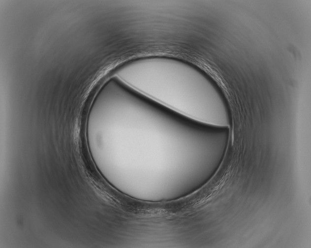 X0000113340483200909151009