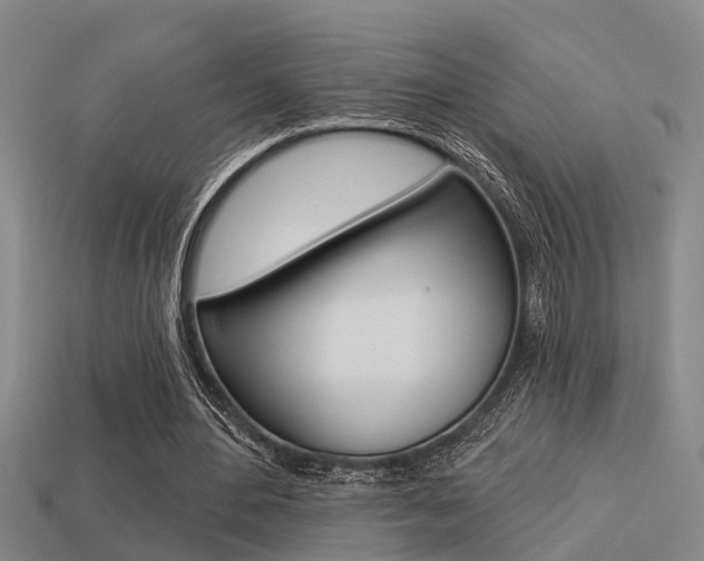 X0000113340484200909151009