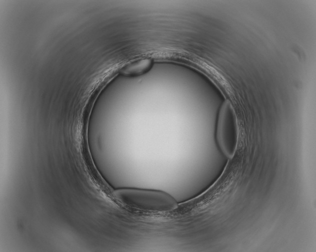 X0000113340485200909151009