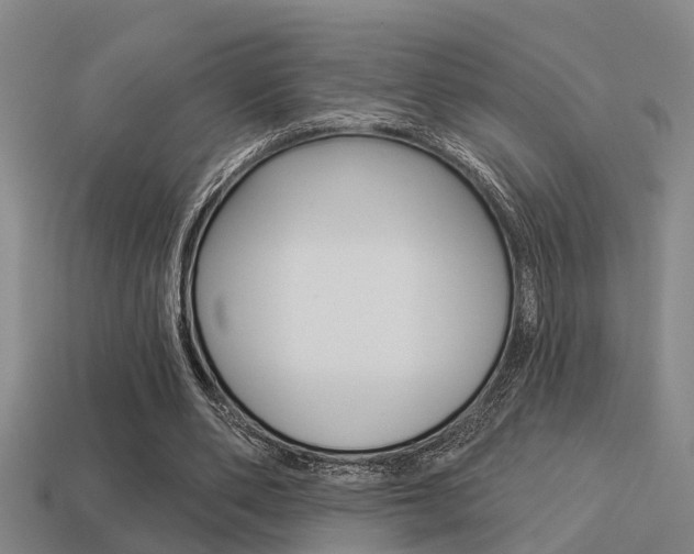 X0000113340486200909151009