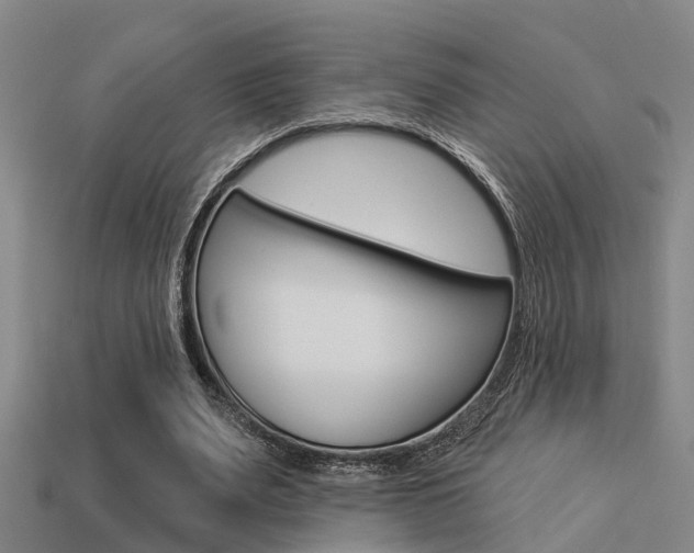 X0000113340487200909151009