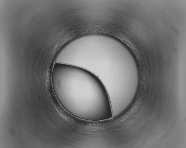 X0000113340489200909151009