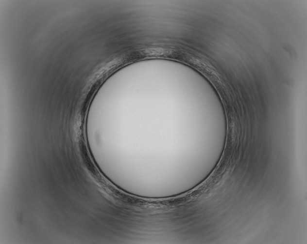 X0000113340490200909151009