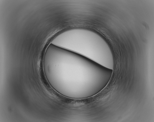 X0000113340491200909151009