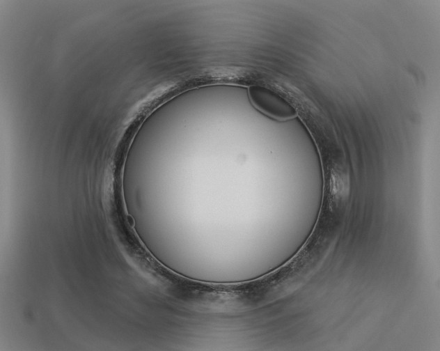 X0000113340492200909151009
