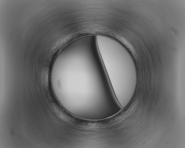X0000113340493200909151009