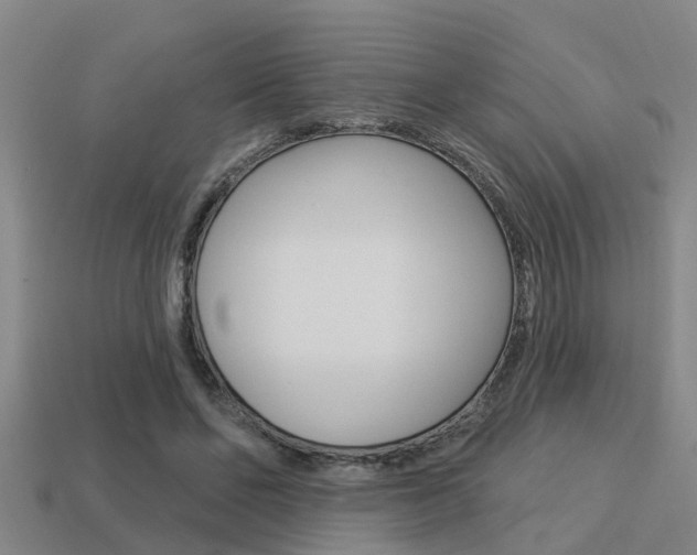 X0000113340494200909151009