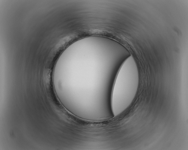 X0000113340495200909151009