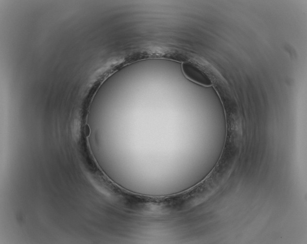X0000113340496200909151009