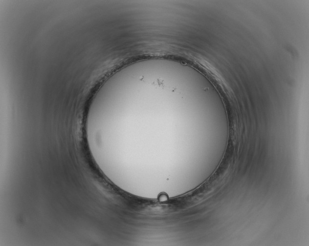 X0000113340497200909151009