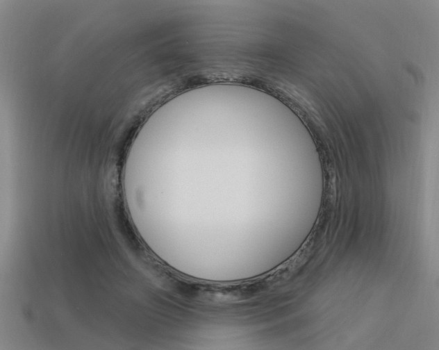 X0000113340498200909151008