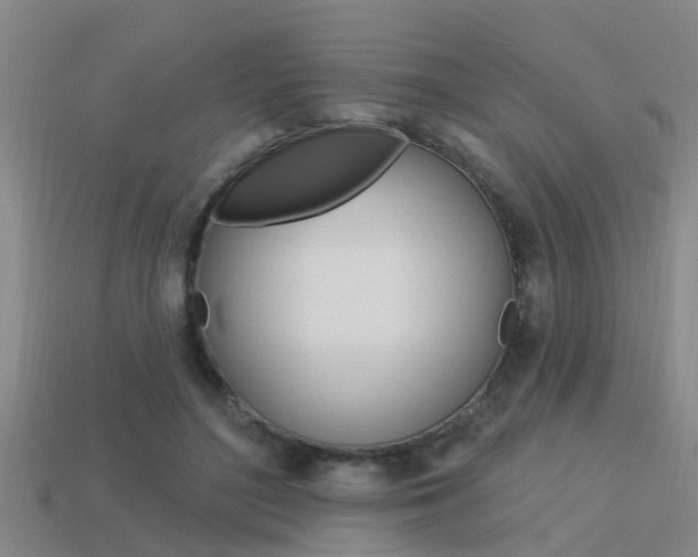 X0000113340500200909151008