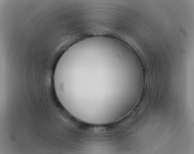 X0000113340501200909151008