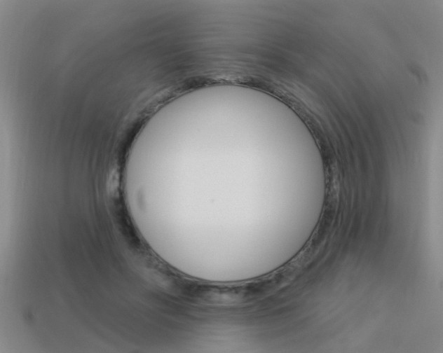X0000113340502200909151008