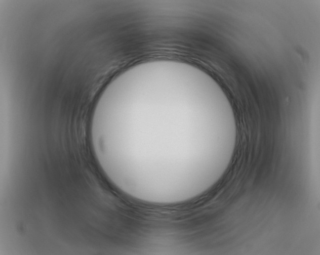 X0000113340504200909151008