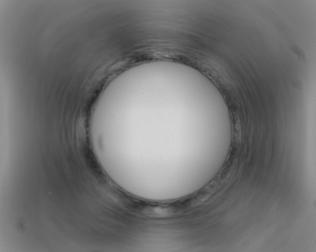 X0000113340506200909151008