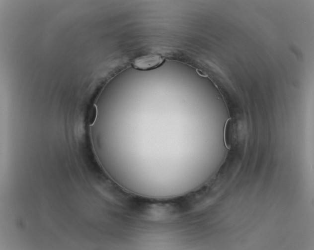 X0000113340508200909151008