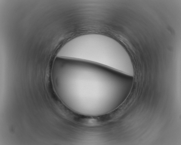 X0000113340509200909151008