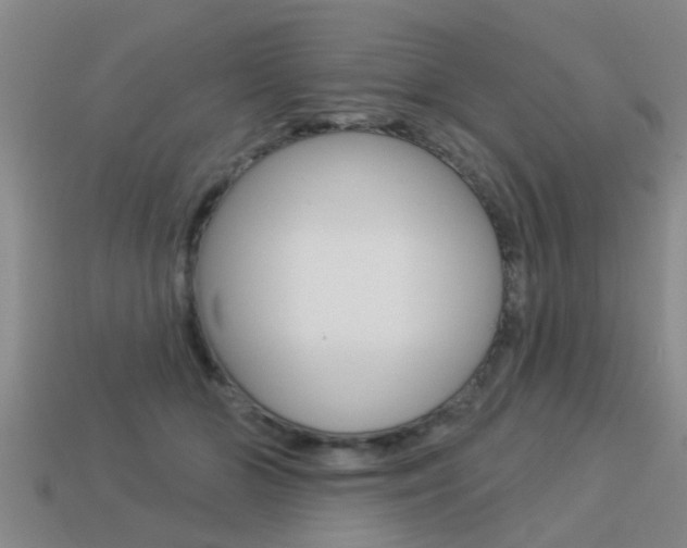 X0000113340510200909151008