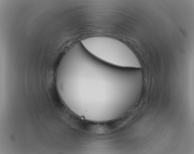 X0000113340511200909151008