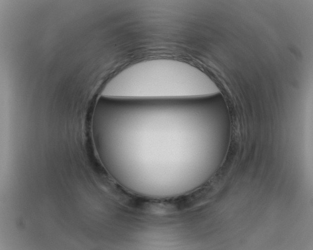 X0000113340512200909151008