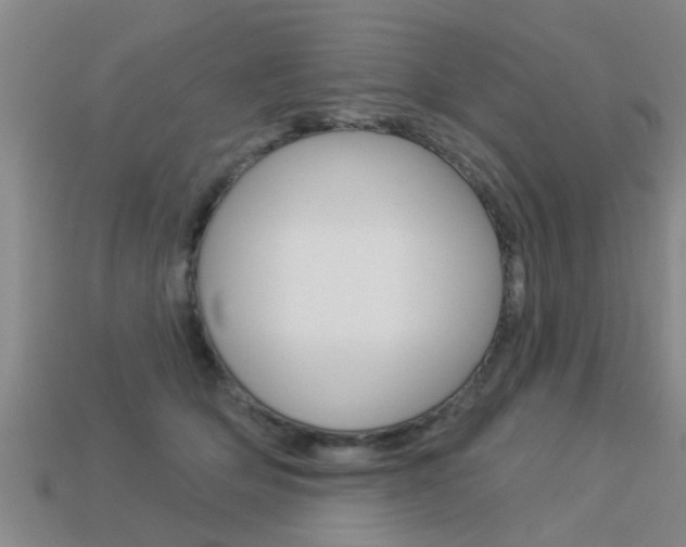 X0000113340514200909151008