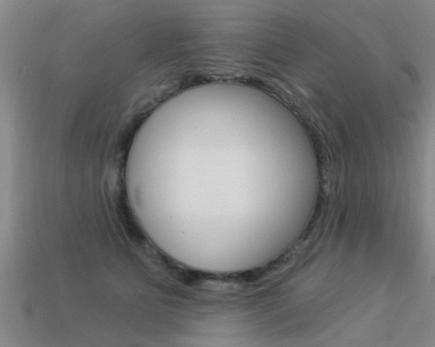 X0000113340515200909151008