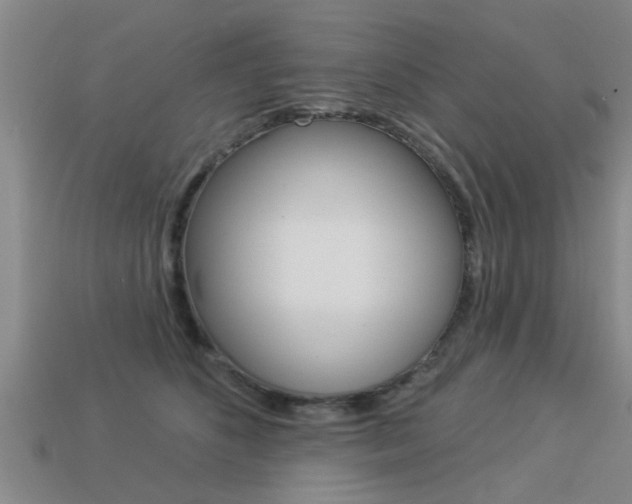 X0000113340516200909151008