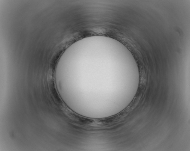 X0000113340518200909151008