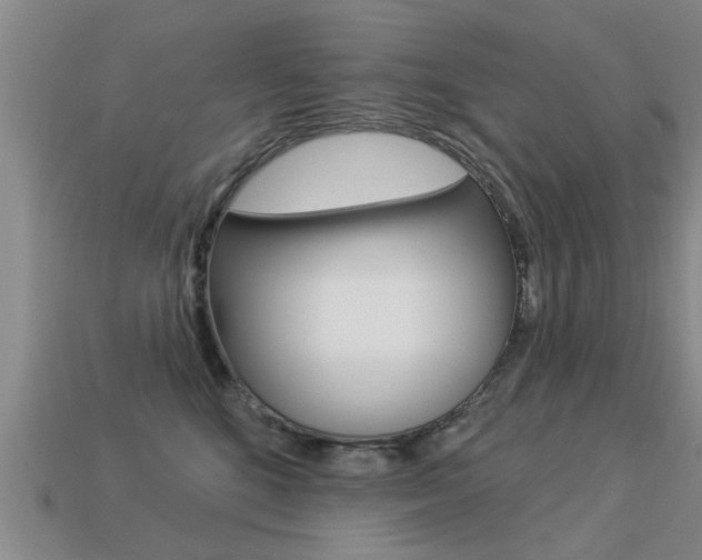 X0000113340520200909151008