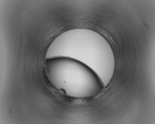 X0000113340521200909151008