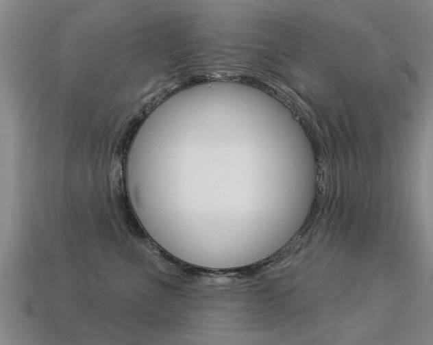 X0000113340523200909151008
