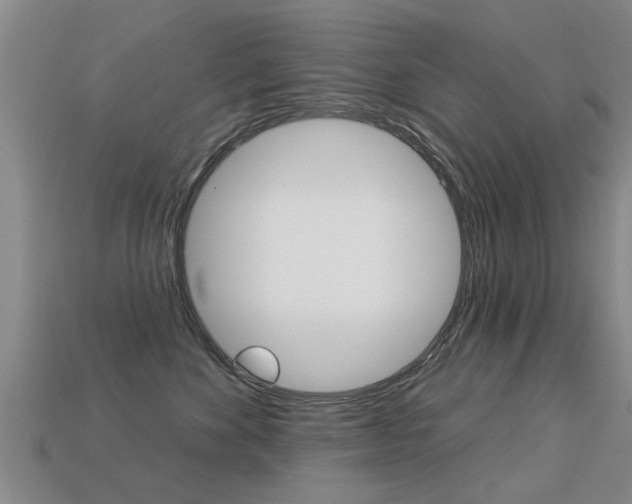 X0000113340524200909151008